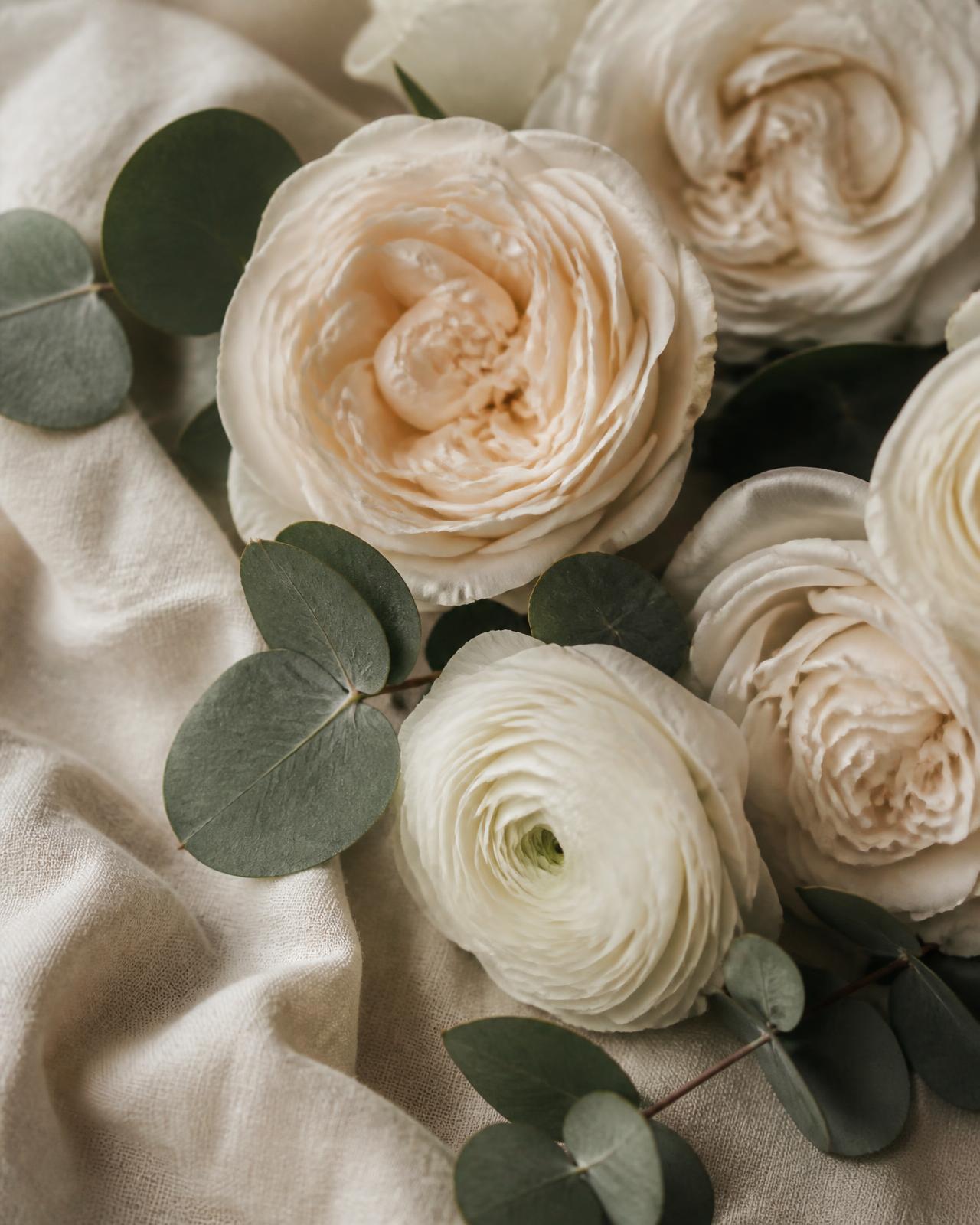 Cream garden roses, white ranunculus and eucalyptus resting on ivory linen